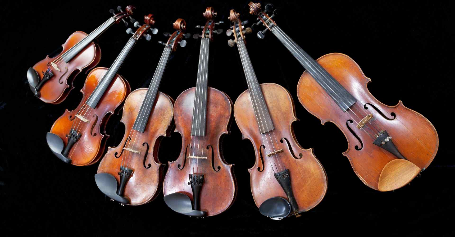 Семья скрипки. Скрипки разных размеров. Семейство скрипок. Скрипки разных цветов. Скрипка с разных ракурсов.