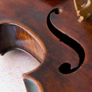 Parts Of The Violin Explained | Theviolinlessons