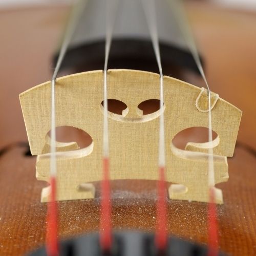 Parts Of The Violin Explained Theviolinlessons