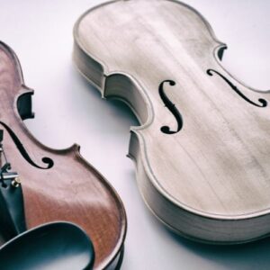 violin body shape