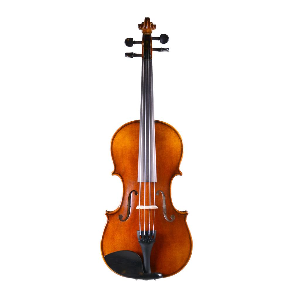 Violin Vs. Viola What Instrument To Choose Theviolinlessons