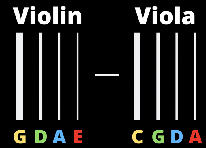 Violin Vs. Viola What Instrument To Choose Theviolinlessons